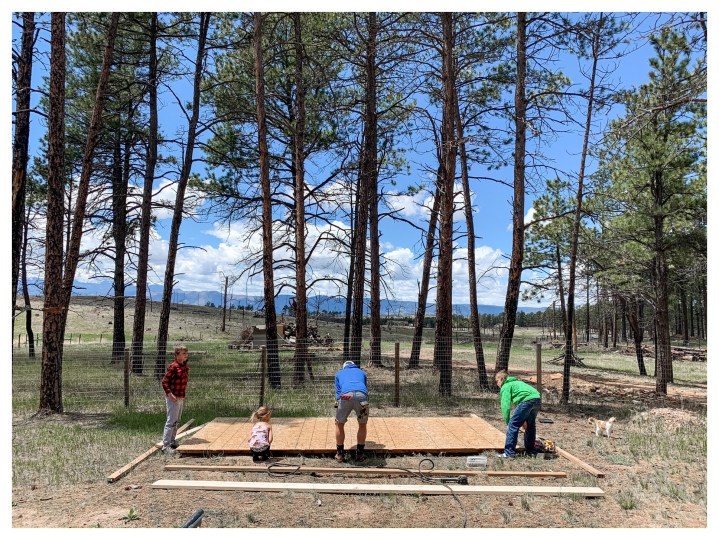 Loafing Shed pt.&nbsp;1