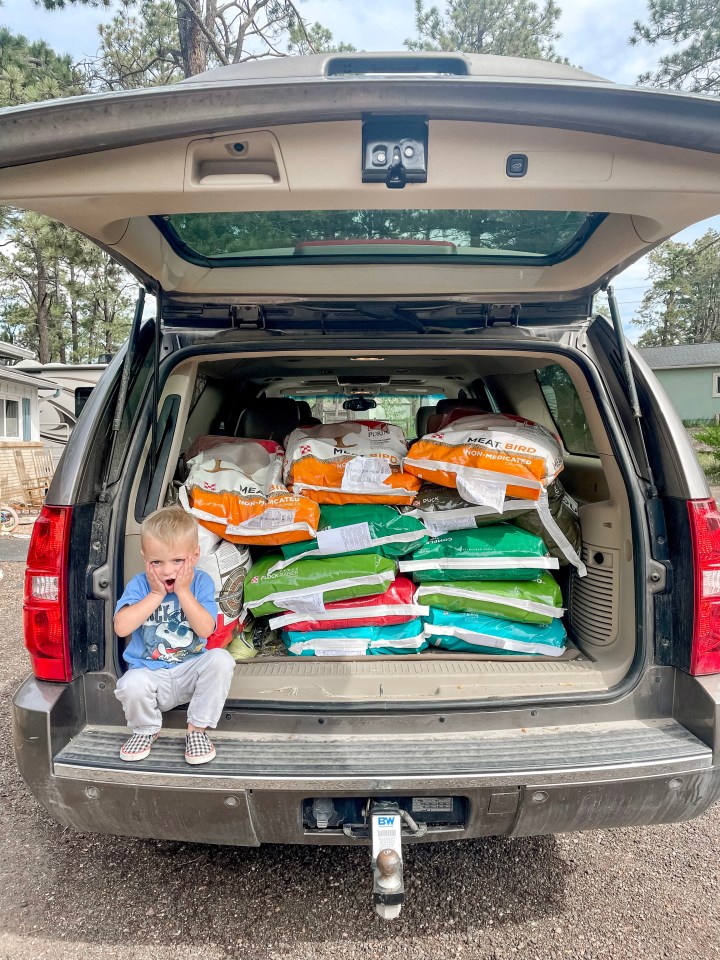 I call this one “Support Your Local Feed&nbsp;Store!”